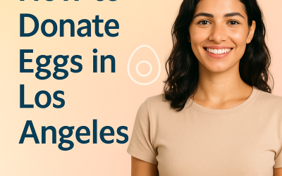 How To Donate Eggs in Los Angeles