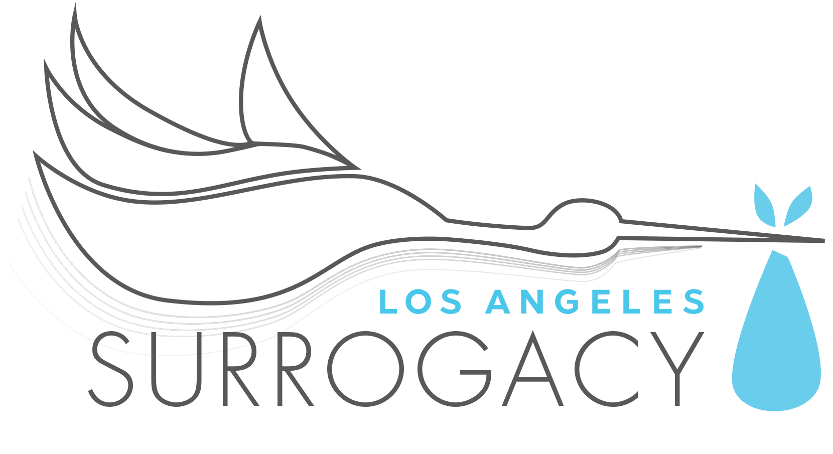 Los Angeles Surrogacy