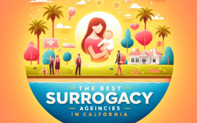 Top 3 Best Surrogacy Agencies in California?