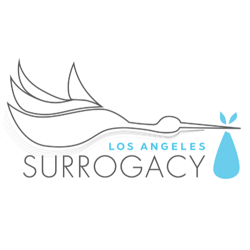 Los Angeles Surrogacy Surrogate Agency Los Angeles 0685